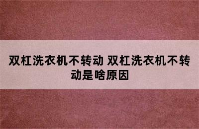 双杠洗衣机不转动 双杠洗衣机不转动是啥原因